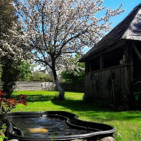 Viesu Nams Klanas Ξενοδοχείο Engure Εξωτερικό φωτογραφία